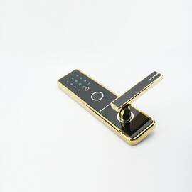 Incuietoare inteligenta DacEnergy©, pentru hotel, apartament, birou, material aliaj de zinc, deblocare parola / card / cheie, rezistenta la apa IP65, culoare negru/auriu - - Roveli