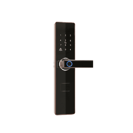 Incuietoare inteligenta DacEnergy©, pentru Acasa / Apartament / Vila, material otel inoxidabil, deblocare Amprenta digitala / aplicatie / cod / card RFID / cheie, pentru usa din lemn / metal, culoare negru/auriu - - Roveli