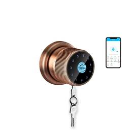 Incuietoare inteligenta DacEnergy©, pentru Acasa / Hotel / Apartament, material aliaj de zinc, deblocare APP / amprenta digitala / cod / card RFID / NFC / cheie, pentru usa din lemn / metal, culoare bronz - - Roveli