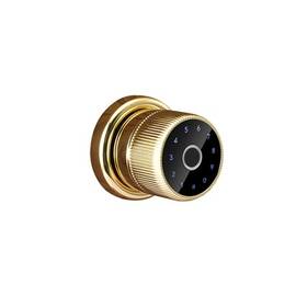 Incuietoare inteligenta DacEnergy©, pentru Acasa / Hotel / Apartament, material aliaj de zinc, deblocare APP / amprenta digitala / cod / card RFID / NFC / cheie, pentru usa din lemn / metal, culoare auriu - - Roveli