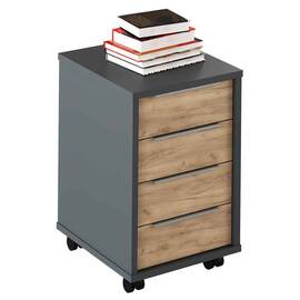 Container, grafit/stejar artisan, RIOMA NEW TYP 14 - - Roveli