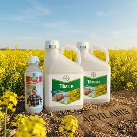 Pachet Rapita Tilmor 240EC(10L)  + Decis Expert(1L) 10HA, Alege ambalajul dorit: 10Hectare - - Roveli