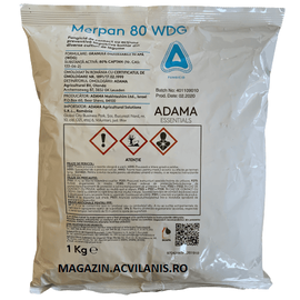 Merpan 80WDG 1kg fungicid contra Mana, Rapan, Caderea plantutelor, Rizoctonioza, Antracnoza, Alege ambalajul dorit: 1 kg - - Roveli