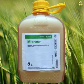 Mizona 5 L - Fungicid Grau si Orz (T1/T2) - Corteva/BASF - Livrare din 15.01.2026 - - Roveli