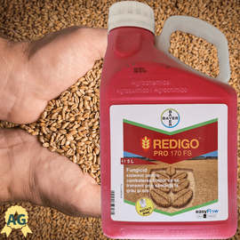 Redigo PRO 5L tratament seminte, fungicid sistemic pentru combaterea bolilor care se transmit prin samanta si sol la Grau si Orz, Alege ambalajul dorit: 5 litri - - Roveli