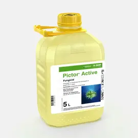 Pictor Active Fungicid BASF 5 Litri – Eficienta Maxima pentru Rapita si Floarea Soarelui - - Roveli