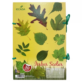 Ierbar scolar cu 30 seturi ECADA - - Roveli
