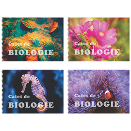 Caiet de biologie, A4 cu spirala, 32 file, ARHI DESIGN - - Roveli
