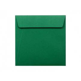 Plic color, 16 x 16 cm, Verde Padure, siliconic, DACO, 25 buc/set - - Roveli