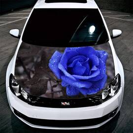 [LICHIDARE STOC] Folie pentru Capota "Hood Art" rezistenta la exterior Marime S (150 x 100 cm) - - Roveli