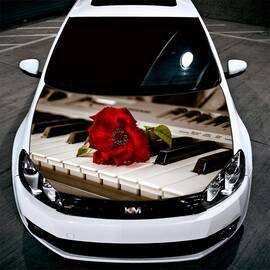 [LICHIDARE STOC] Folie pentru Capota "Hood Art" rezistenta la exterior Marime M (165 x 150 cm) - - Roveli