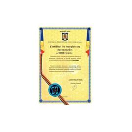 Perdele auto interior 5 bucati compatibile Skoda Fabia I Sedan 1999-2007 Cod: ARTFL5 - - Roveli