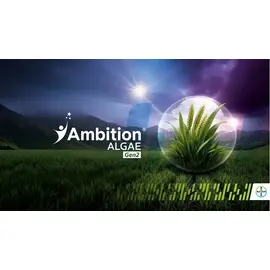 Ambition ALGAE Gen2 Bayer 1L - Biostimulator pe baza de Alge Marine - - Roveli