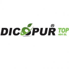 Erbicid Grau-Porumb Dicopur Top 464 SL 100 ML - - Roveli