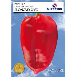 Seminte ardei ureche de elefant Superior 10 gr - - Roveli