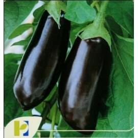 Seminte vinete Halflange Violette Horti Tops 1 GR - - Roveli