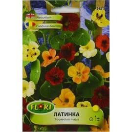 Seminte flori Condurul doamnei catarator mix/ Tropaeolum nanum mix 2 gr - - Roveli