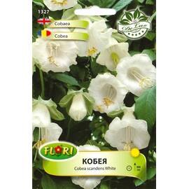 Seminte flori Cobea/ Cobea scandens White 1 gr - - Roveli