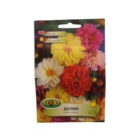 Seminte flori Dalie (Gherghina)/ Dahlia viriabilis Unwins mixed 0,5 gr - - Roveli