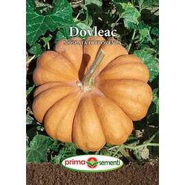 Seminte dovleac de copt Moscata Di  Provenza 2 gr - - Roveli