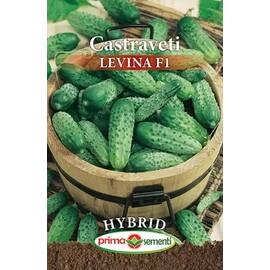 Seminte castraveti Levina F1 5 gr - - Roveli