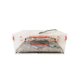 Maternitate pui prepelite, 100x60x40 cm - - Roveli