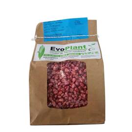 Seminte porumb EVO 4020 FAO 400 ambalaj (5000 seminte) - - Roveli