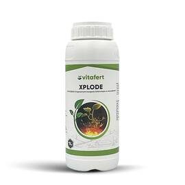 Stimulator de crestere Xplode 1 L - - Roveli