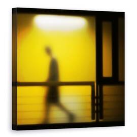 Tablou canvas - Bardo, Mers, Silueta, Noapte, Galben, Neon, Pas, 60 x 60 cm - - Roveli