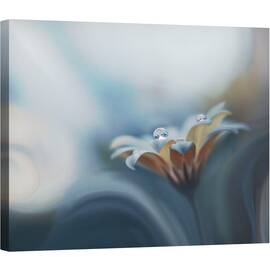 Tablou canvas - Dorul Infinit, Macro, Floare, Natura, Apa, Cadere, 60 x 75 cm - - Roveli