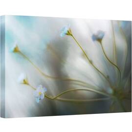 Tablou canvas - Jasmine, Floare, Flora, Floral, Iasomie, Macro, 60 x 90 cm - - Roveli
