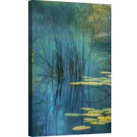 Tablou canvas - Apa, Crin, Lac, Planta, Stuf, Nufar, 80 x 120 cm - - Roveli