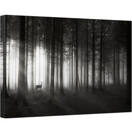 Tablou canvas - Cerb, Cerb, Soare, Dimineata, Padure, Pomi, Ceata, 80 x 120 cm - - Roveli