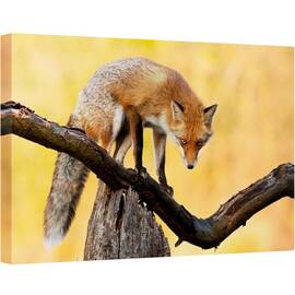 Tablou canvas - Ochi Aprinsi, Natura, Animal, Salbatic, Fauna, Vulpe, Ochi, 60 x 90 cm - - Roveli