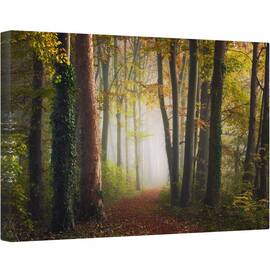 Tablou canvas - Padurea Colorata de Toamna, Drum, Mod, Perspectiva, Poteca, 80 x 120 cm - - Roveli