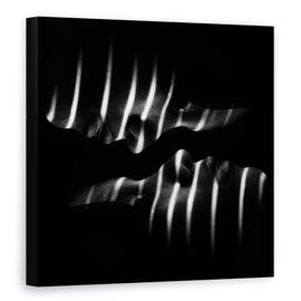 Tablou canvas - Puteri, Fata, Fete, Zebra, Dungi, Linii, Intunecos, 60 x 60 cm - - Roveli