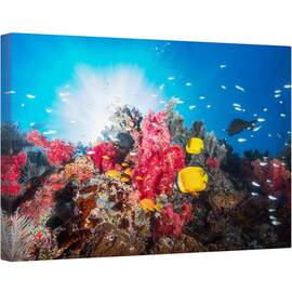 Tablou canvas - Recif, Sub Apa, Peste, Laguna, Coral, Mare, 80 x 120 cm - - Roveli
