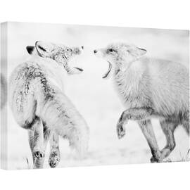 Tablou canvas - Vis de Iarna, Fauna, Vulpe, Iarna, Monocrom, Alb-Negru, 60 x 90 cm - - Roveli