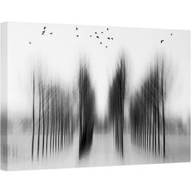 Tablou canvas - Arhitectura Arborelui, Munchen, Messestadt, Est, Olanda, 40 x 60 cm - - Roveli