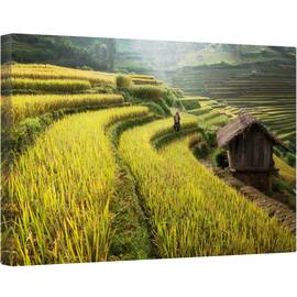Tablou canvas - Continua Sa Mergi, Terasa, Terase, Ferma, Agricultura, Plantatie, Orez, 40 x 60 cm - - Roveli
