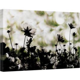 Tablou canvas - Corul de Toamna, Tonifiat, Flori, Japonia, Lunca, Gradina, Toamna, 60 x 90 cm - - Roveli