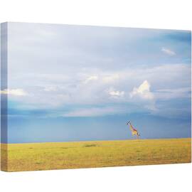 Tablou canvas - Culorile Libertatii, Girafa, Fauna, Tanzania, Animal, Serengeti, Nor, 80 x 120 cm - - Roveli
