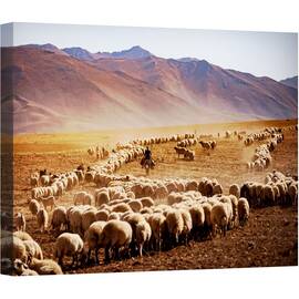 Tablou canvas - Curcan, Documentar, Oaie, Animal, Cioban, 75 x 100 cm - - Roveli