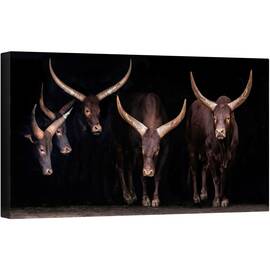 Tablou canvas - Familia Watusi, Animale, Cabarceno, Corn, Claxoane, 50 x 100 cm - - Roveli