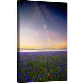 Tablou canvas - Flori de Noapte, Flori, Cer, Galaxie, Joaca, Calea Lactee, Apus, 80 x 120 cm - - Roveli