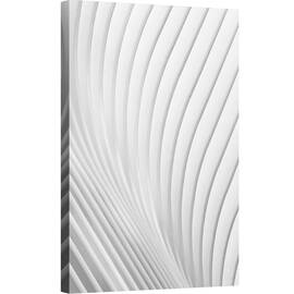 Tablou canvas - Liniile Calatrava, Aripa, Calatrava, Alb, Coaste, Curba, Linia, 60 x 90 cm - - Roveli
