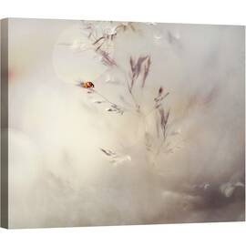 Tablou canvas - Micuta Doamna, Macro, Abstract, Gargarita, Rosu, 60 x 75 cm - - Roveli