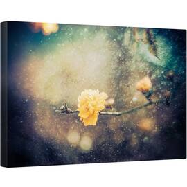 Tablou canvas - Primavara, Floare, Inchis, Galben, Zapada, 60 x 90 cm - - Roveli