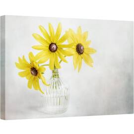 Tablou canvas - Rudbeckia, Rudbeckia, Vara, Galben, Planta, Gradina, Floare, 80 x 120 cm - - Roveli