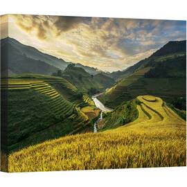 Tablou canvas - Terase de Orez, Terasa, Orez, Campuri de Orez, 75 x 100 cm - - Roveli